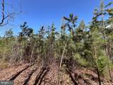 116.32 Acres Gilliam Mill Road - Photo 38