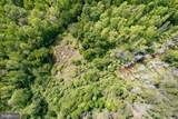 116.32 Acres Gilliam Mill Road - Photo 4
