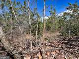 116.32 Acres Gilliam Mill Road - Photo 40