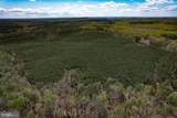 116.32 Acres Gilliam Mill Road - Photo 41