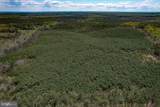 116.32 Acres Gilliam Mill Road - Photo 42
