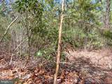116.32 Acres Gilliam Mill Road - Photo 43