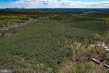 116.32 Acres Gilliam Mill Road - Photo 44