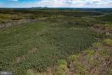 116.32 Acres Gilliam Mill Road - Photo 46