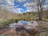 116.32 Acres Gilliam Mill Road - Photo 5