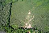 116.32 Acres Gilliam Mill Road - Photo 6