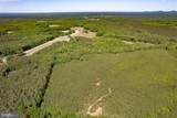 116.32 Acres Gilliam Mill Road - Photo 7