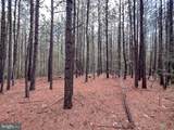 116.32 Acres Gilliam Mill Road - Photo 9