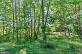 29212 Shady Creek Lane - Photo 39