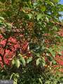 3085 Indian Run Road - Photo 48