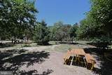 919 American Street - Photo 76