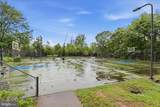 8277 Roxborough Loop - Photo 74