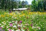 25610 Chance Farm Court - Photo 49