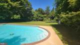 1104 Safa Street - Photo 80