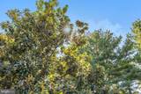 1104 Safa Street - Photo 83