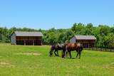 18101 Cattail Road - Photo 8