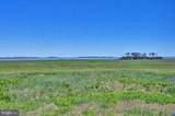 37456 Pettinaro Drive - Photo 13