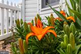 11330 Savannah Drive - Photo 28