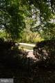 37961 Forest Mills Road - Photo 147