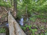 286 Tub Run Hollow Road - Photo 62