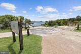 30252 Candleberry Drive - Photo 92