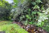 7705 Magarity Road - Photo 63