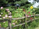 1095 Texter Mountain Road - Photo 68