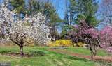 1095 Texter Mountain Road - Photo 70