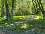 663 Bear Woods Road - Photo 59