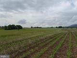 TRACT 1: 148+/- ACRE Farm At 9385 Royer Road - Photo 52