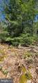 6 Cedar Lane - Photo 4