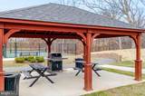 43899 Siren Song Terrace - Photo 41