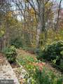 6803 Wild Rose Court - Photo 50
