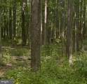 8886 Georgetown Road - Photo 2