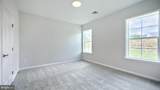 607 Lilliana Drive - Photo 17
