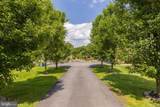 2503 Creswell Road - Photo 2
