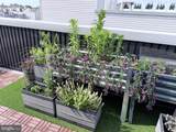 1452 Newkirk Street - Photo 40