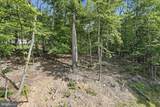 300 Elk Trail - Photo 39