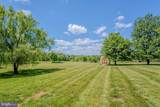 16619 Chestnut Overlook Drive - Photo 69