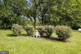 415 Kern Street - Photo 63