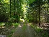 385 Elk Creek Road - Photo 3
