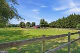 11139 Old Frederick Road - Photo 60