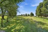 11139 Old Frederick Road - Photo 61