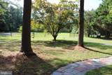 8539 Marlboro Drive - Photo 71