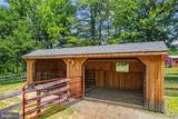 20103 Shelburne Glebe Road - Photo 46