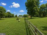 20103 Shelburne Glebe Road - Photo 54