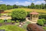 10590 Mountain Shadow Lane - Photo 104