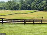 10590 Mountain Shadow Lane - Photo 97