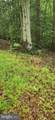  Poorhouse Road - Photo 3