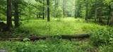 8710 Poorhouse Road - Photo 9
